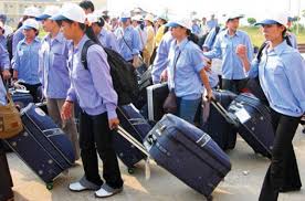 Giảm 50% lệ phí cấp phép đưa người Việt Nam đi làm việc có thời hạn ở nước ngoài